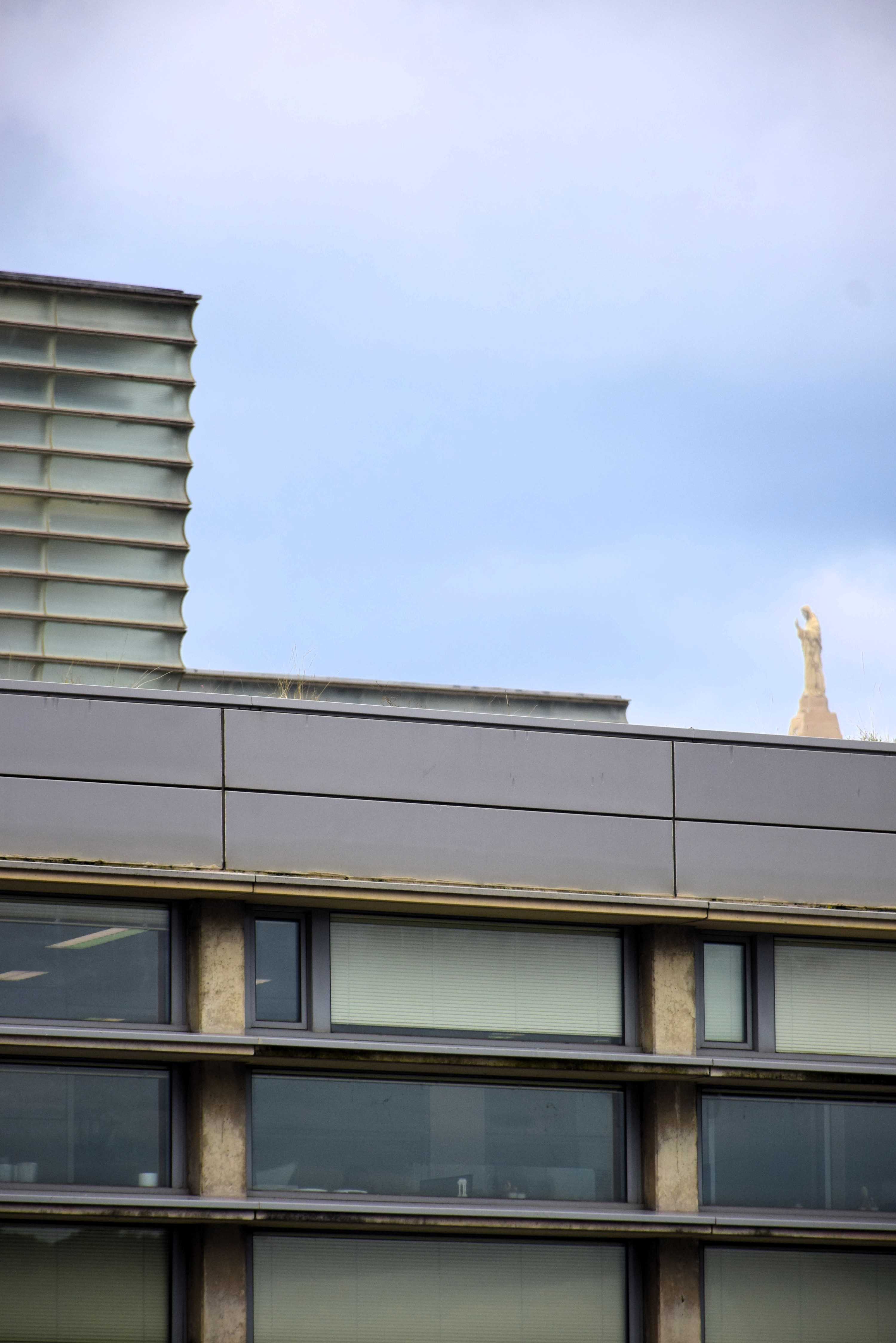 DSC_0247.JPG